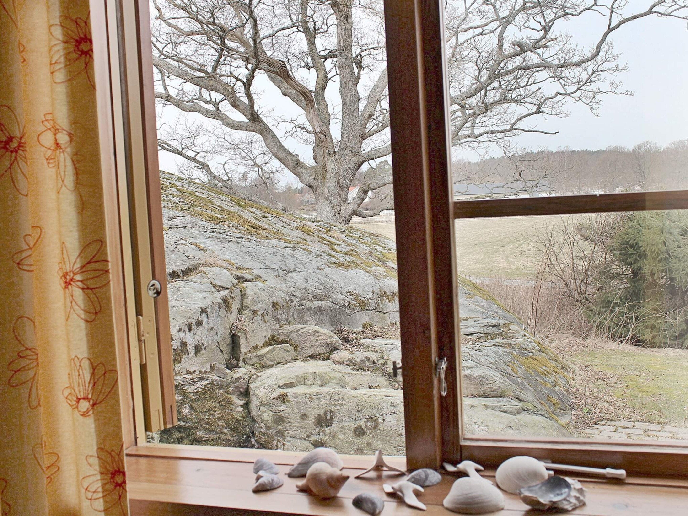 Une fenêtre donnant sur un paysage rocheux et des arbres.