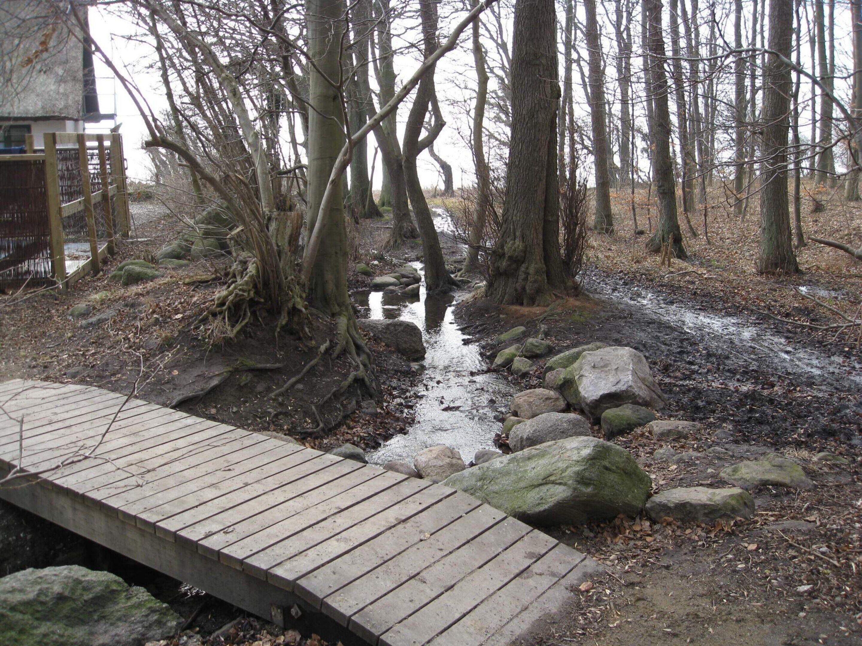 House | Property grounds