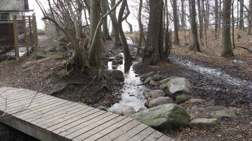 House | Property grounds