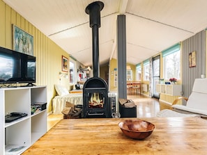 Un salon chaleureux avec une cheminée, des meubles en bois et un téléviseur.