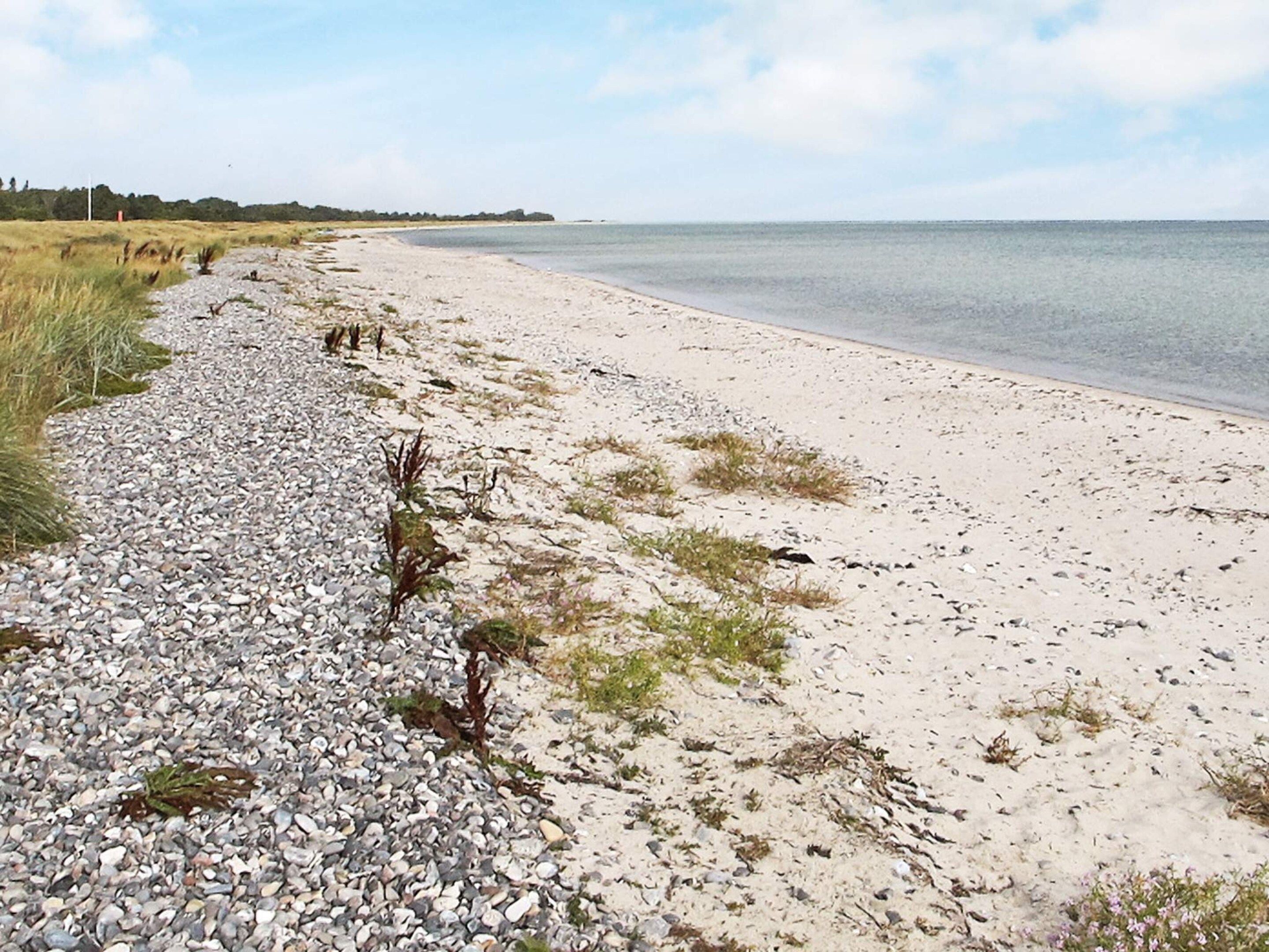 A beach with pebbles and sparse vegetation, a clear sky, and calm water.