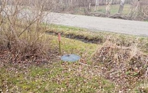 Eine natürliche Außenanlage mit einem Entwässerungsrost, Pflanzen und einem Weg.