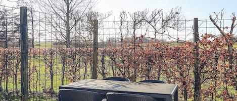 Une terrasse extérieure avec une table et des chaises, entourée d’une clôture en fil de fer et d’arbres.