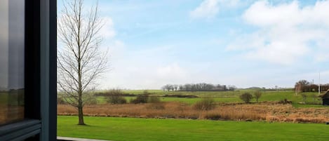 House | Property grounds