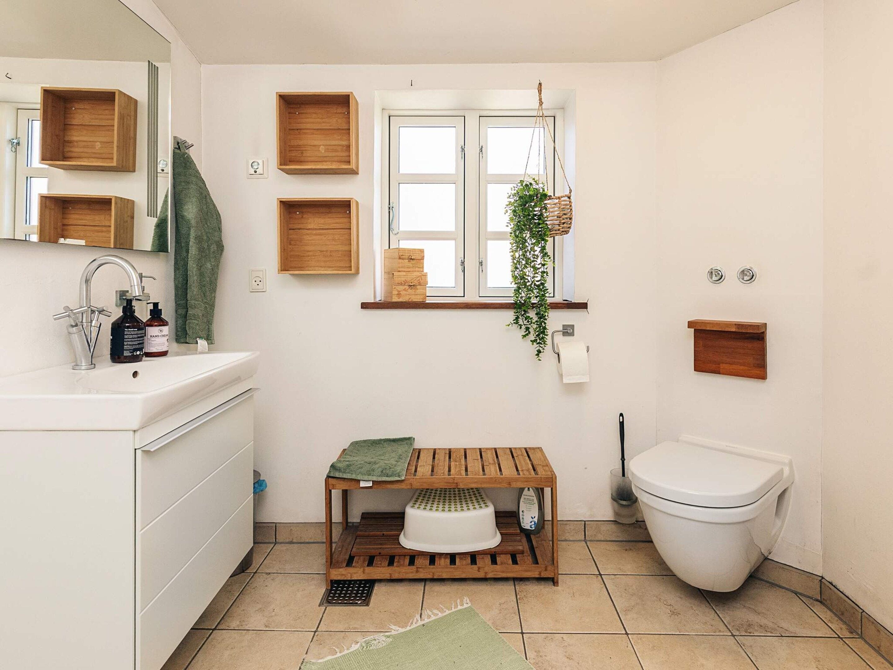 A bathroom with a white sink, wooden shelves, a hanging plant, and a toilet.