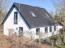 A two-story house with a steeply pitched roof, multiple windows, and a visible chimney.