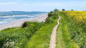 Un sentier côtier bordé d’une plage de sable et d’un champ de fleurs jaunes.