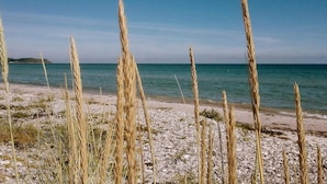 A beach with tall grasses and a clear view of the sea. - 8 Person Holiday Home in Ebeltoft-by Traum (Ebeltoft)