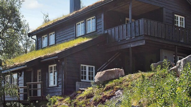 Eksteriør