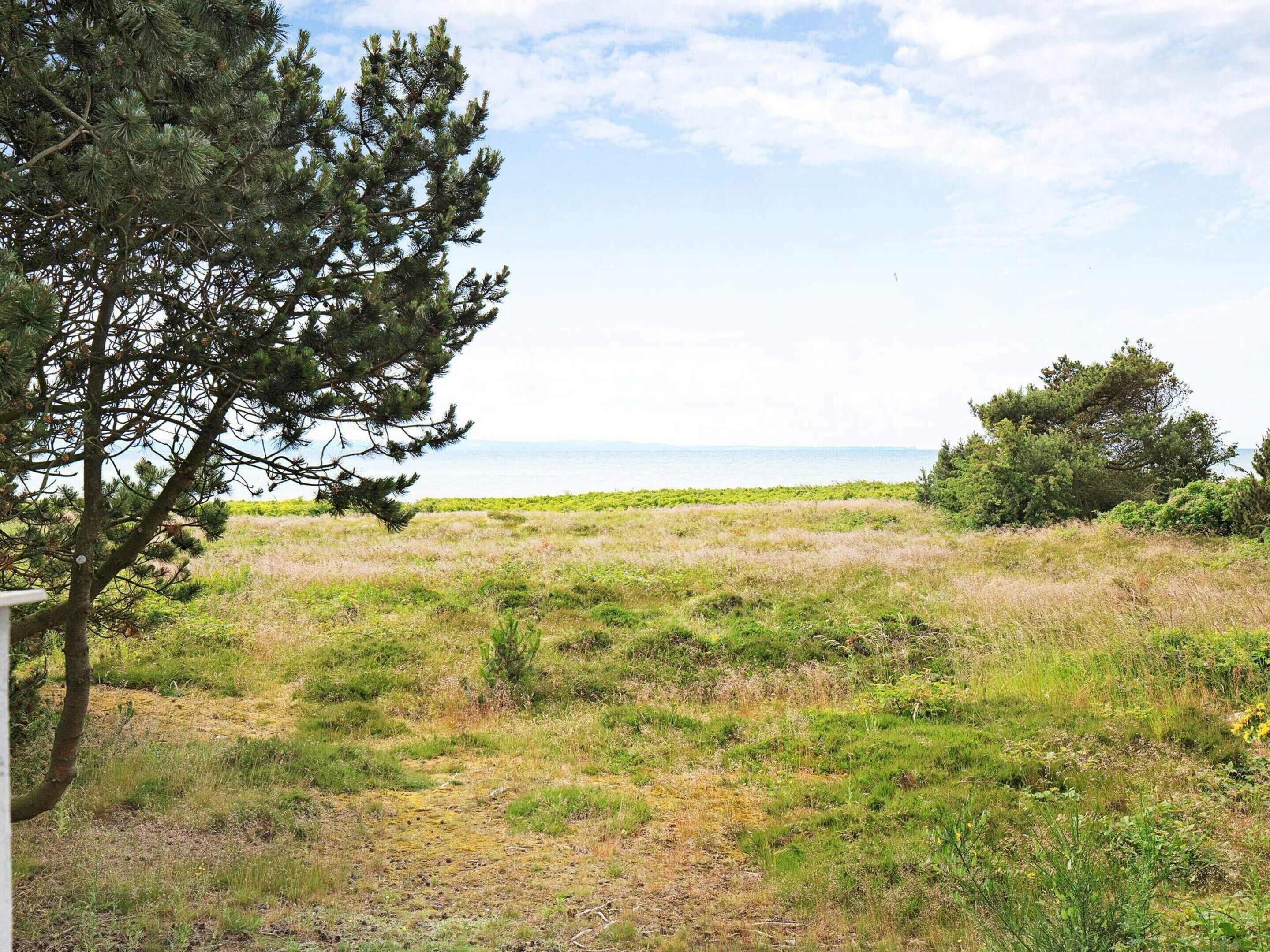 إطلالة على المياه