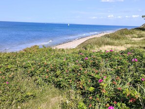 A coastal landscape with a sandy beach, green vegetation, and the ocean. - 6 Person Holiday Home in Gilleleje-by Traum (Gilleleje)