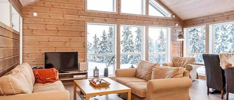 House | Living room | TV, streaming services