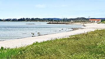 A coastal landscape with a sandy beach, a grassy foreground, and a distant shoreline with buildings.