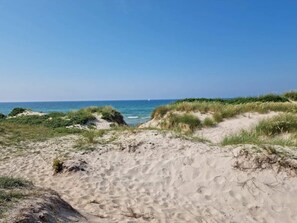 A sandy beach with dunes and sparse vegetation. - 5 Star Holiday Home in Frederiksvaerk (Frederiksvaerk)