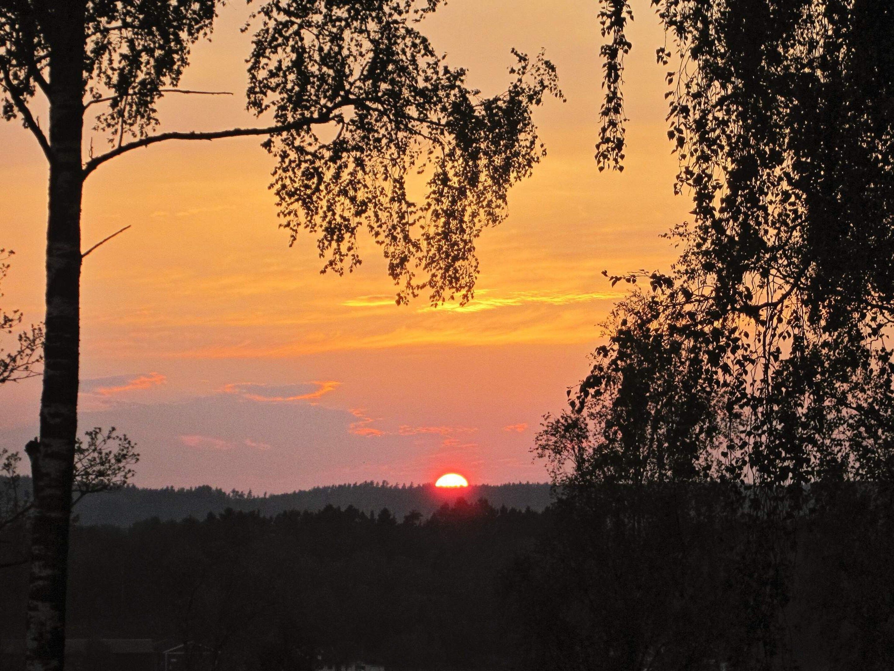 Ein Sonnenuntergang, wobei die Sonne teilweise durch Äste verdeckt wird.