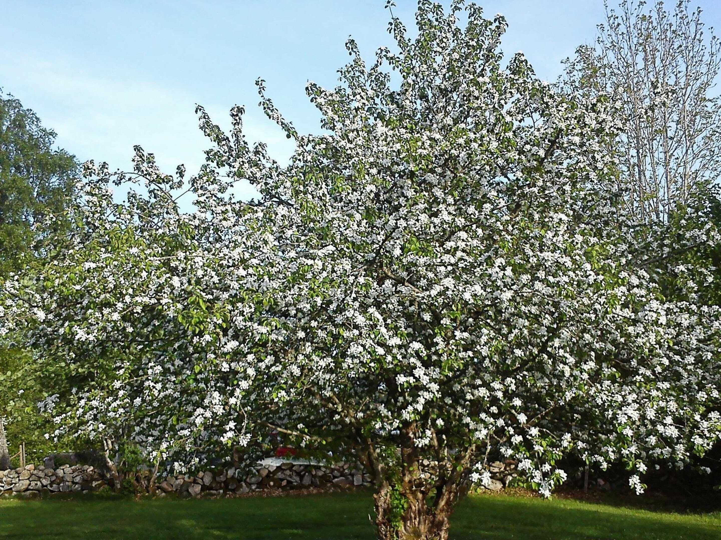 House | Bathroom | Towels