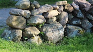 House | Property grounds