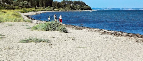 ハウス | ビーチ