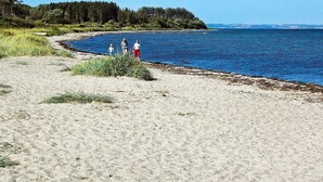 A sandy beach with a clear blue sea, a grassy area, and a forested hill in the background. - 6 Person Holiday Home in Nordborg-by Traum (Nordborg)