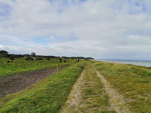 Miscellaneous - 6 Person Holiday Home in Nordborg-by Traum (Nordborg)