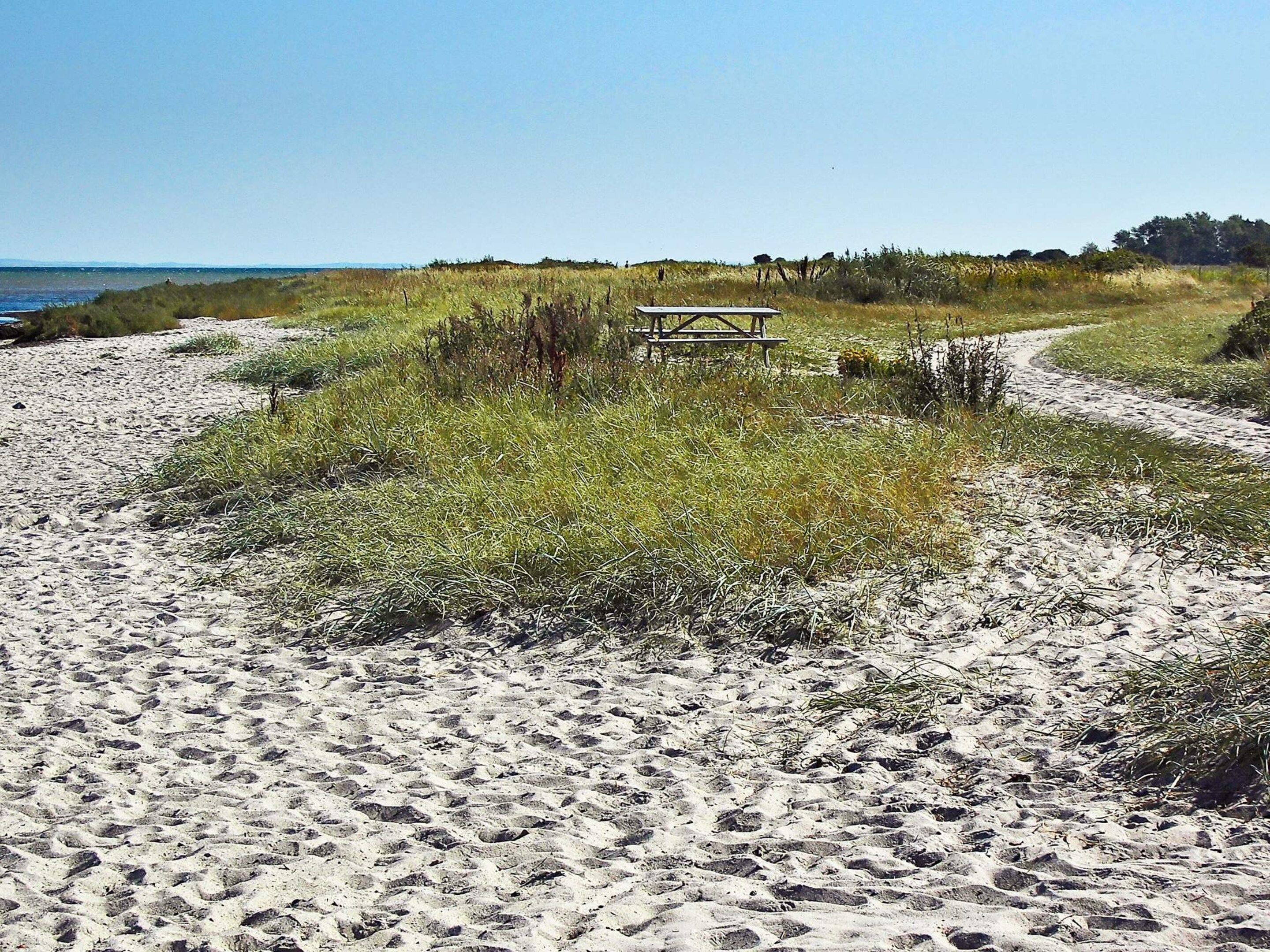 En sandstrand med en træbænk og en sti ned til vandet.