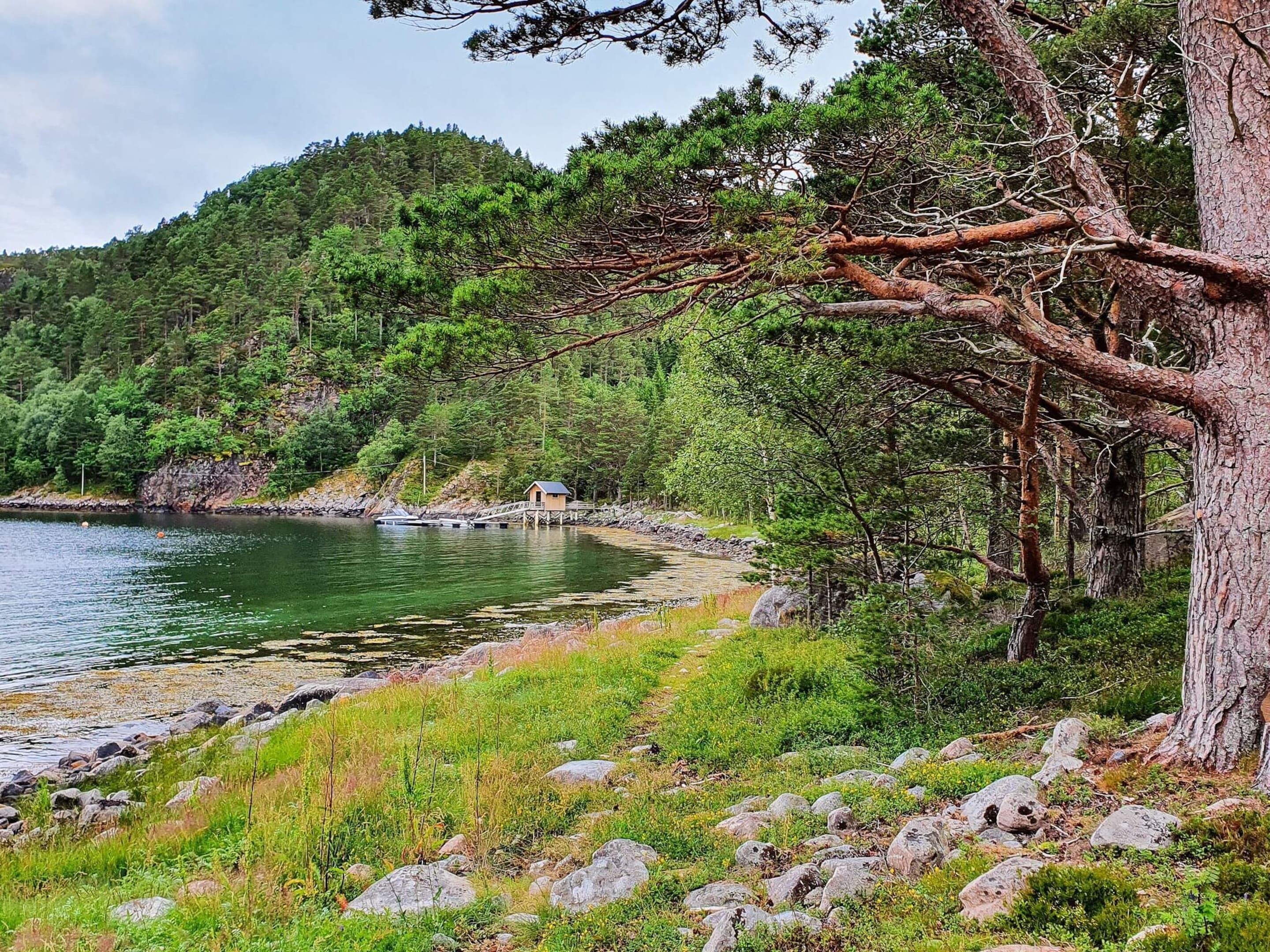 Lake view