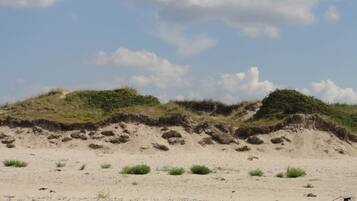 House | Beach