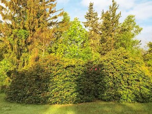 Vista desde la propiedad