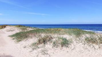 A sandy beach with dunes and a clear blue sky.