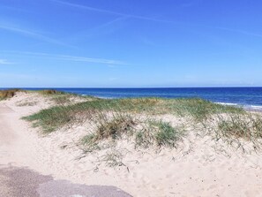 A sandy beach with dunes and a clear blue sky. - 8 Person Holiday Home in Olsted-by Traum (Olsted)