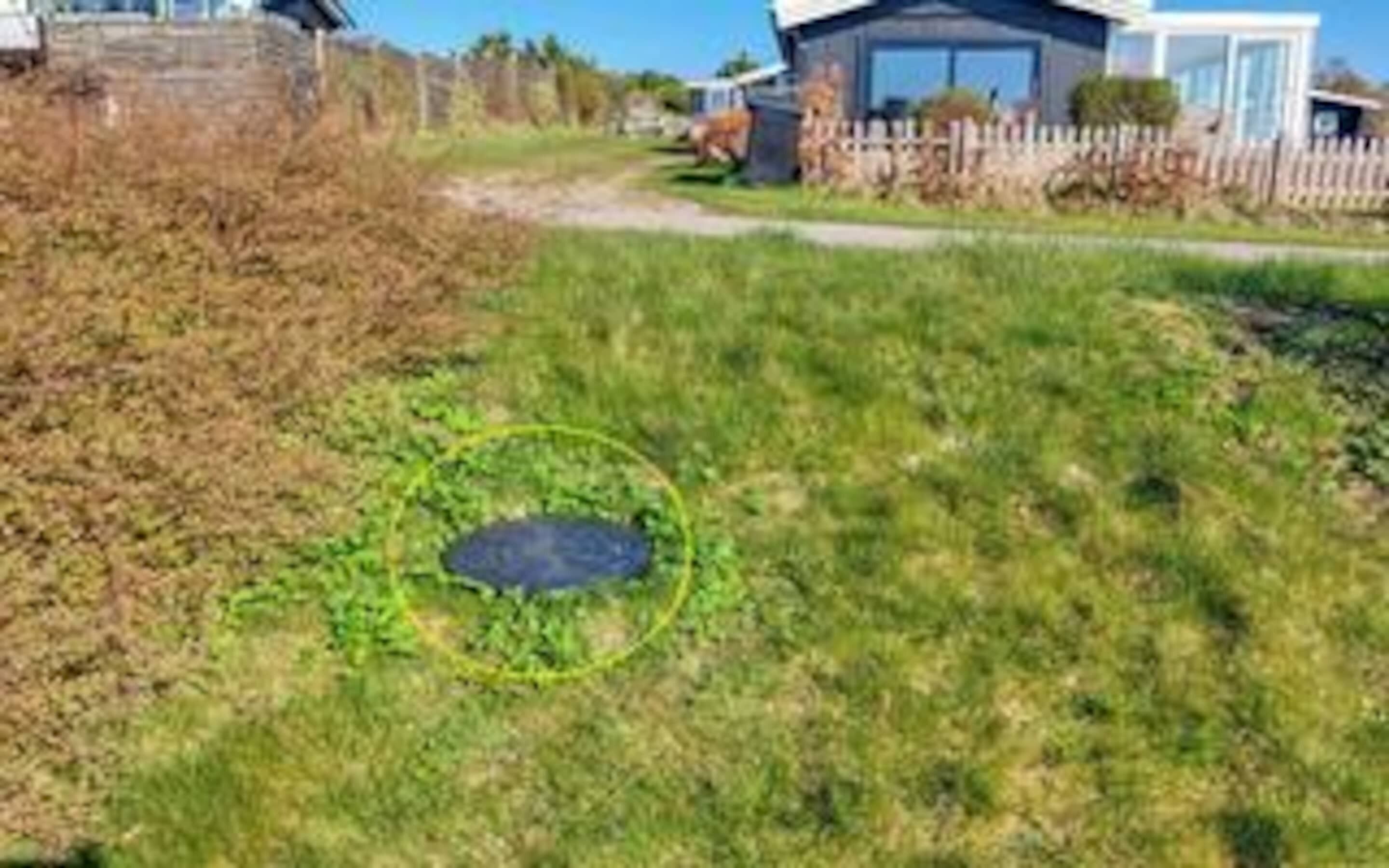 House | Property grounds