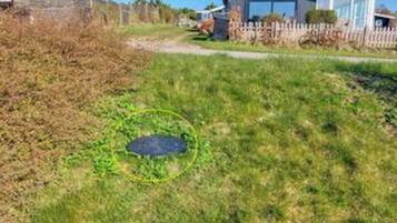 House | Property grounds