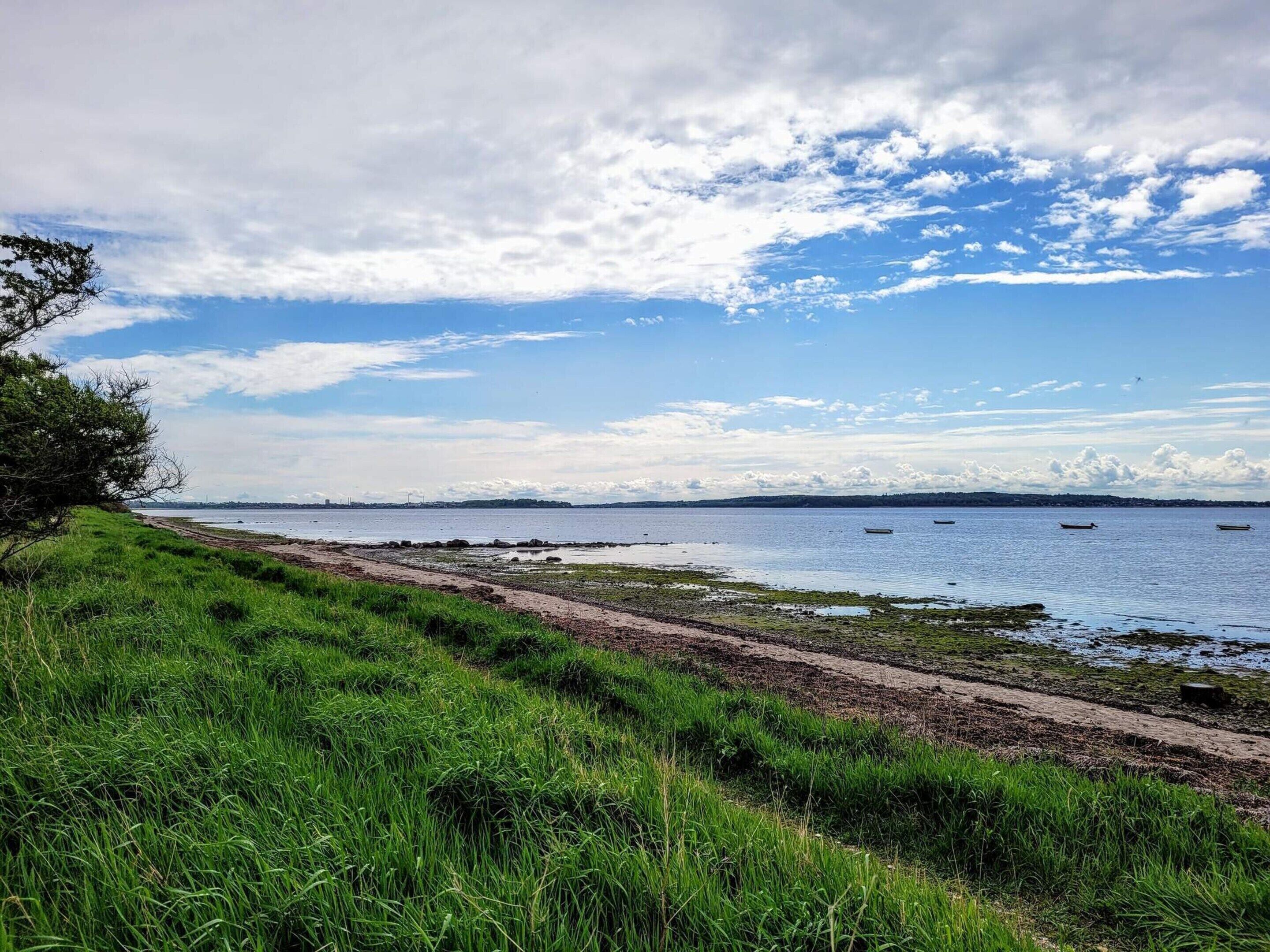 A coastal landscape with a grassy foreground, a body of water, and a distant shoreline.