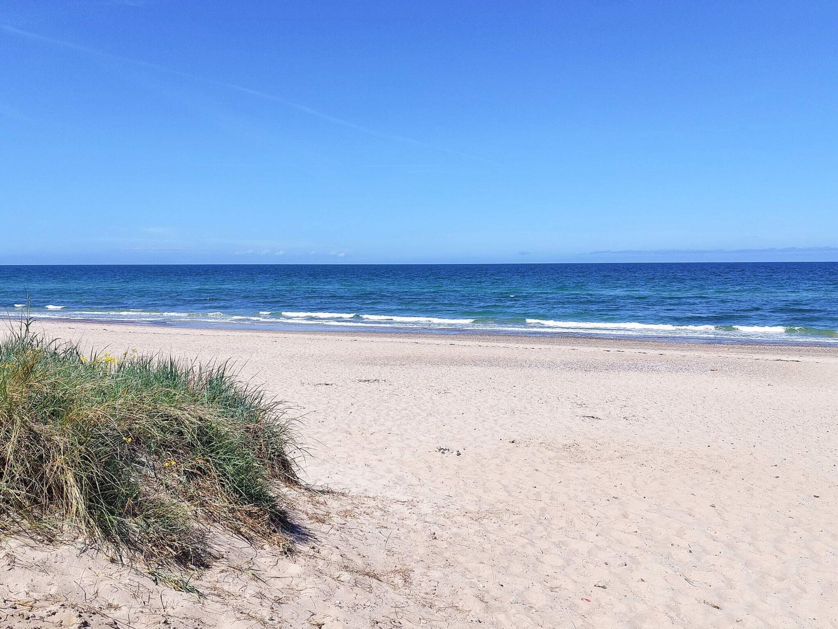 A beach with clear skies and calm sea.