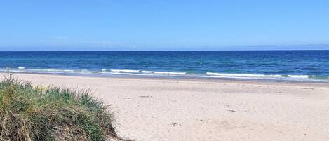 A beach with clear skies and calm sea.