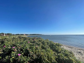 A coastal landscape with a clear sky, a sandy beach, and a body of water.