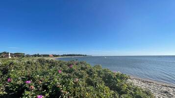 A coastal landscape with a clear sky, a sandy beach, and a body of water.