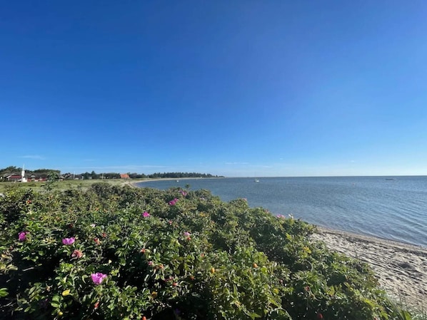Eine Küstenlandschaft mit blauem Himmel, Sandstrand und einem Gewässer.