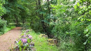 House | View from property