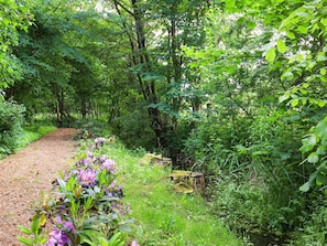 A forested path with a dirt trail leading through dense greenery. - 5 Person Holiday Home in Roslev-by Traum (Roslev)
