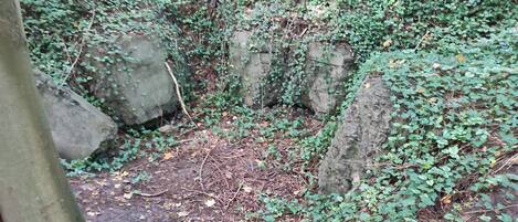 Casa | Àrea exterior de l'allotjament