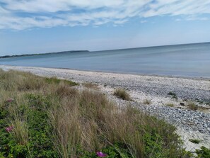 A beach with pebbles and sparse vegetation. - 10 Person Holiday Home in Ebeltoft-by Traum (Ebeltoft)