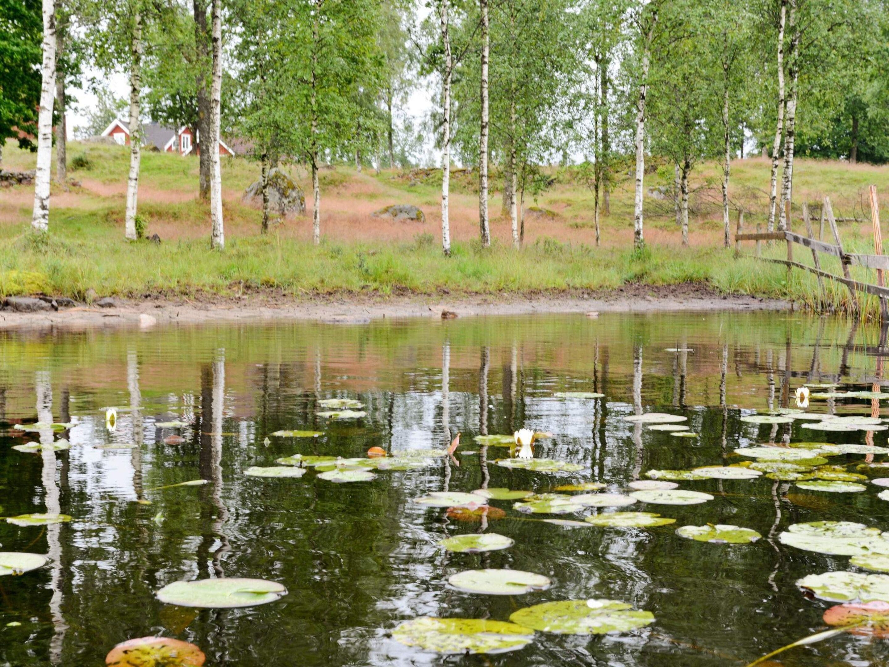 Hus | Utsikt mot vattnet