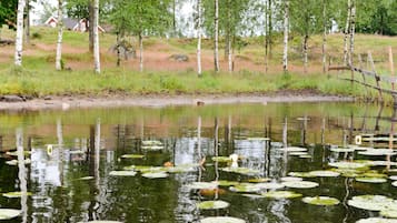 Hus | Utsikt mot vattnet