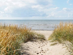 A sandy beach path leading to the sea, surrounded by tall grass.