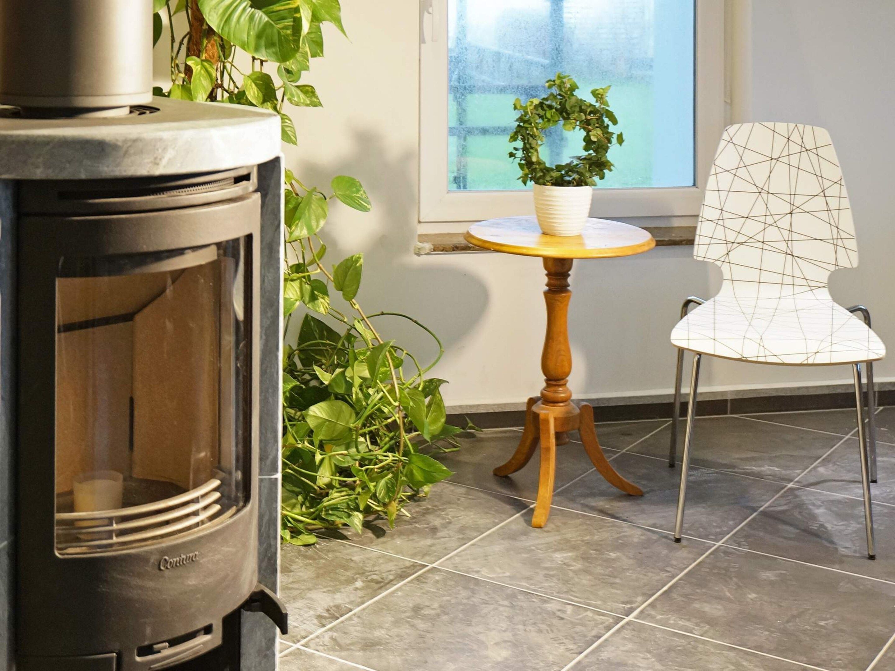 Un poêle à bois, une plante en pot, une chaise et une fenêtre donnant sur un beau paysage.