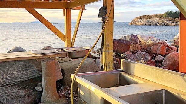 Un évier en métal et un tuyau d’arrosage sont reliés à une structure située près d’une côte rocheuse, avec une étendue d’eau en arrière-plan.