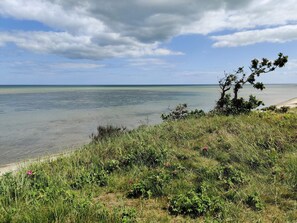 A coastal landscape with a clear sky, a sandy beach, and a tree in the foreground.
