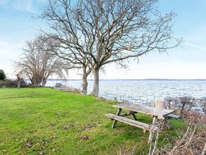 A grassy area with a wooden bench and a large tree by a body of water. - Gorgeous Holiday Home in Syddanmark Near Sea (Svendborg)