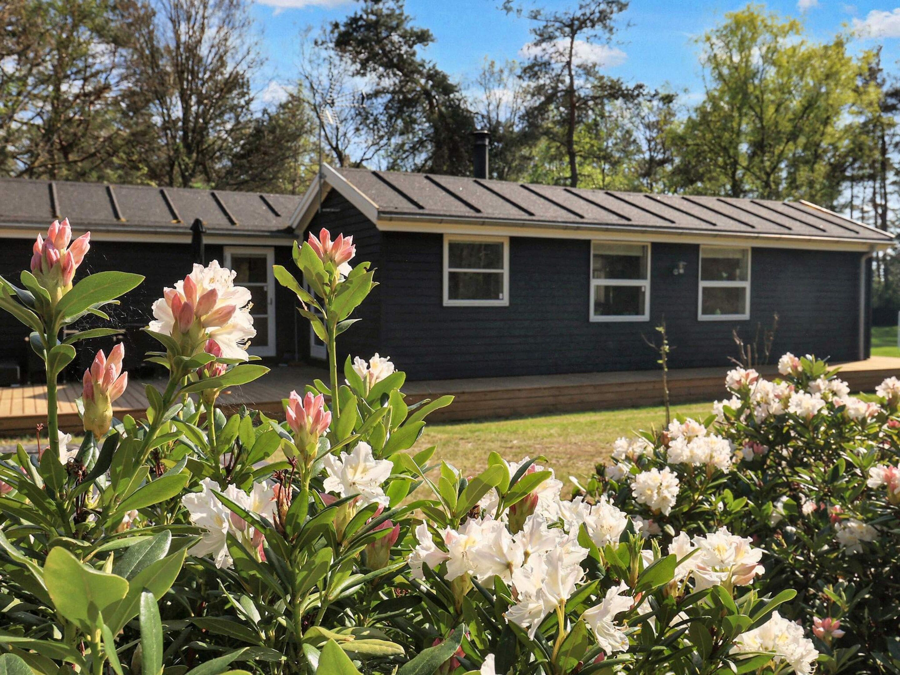House | View from property